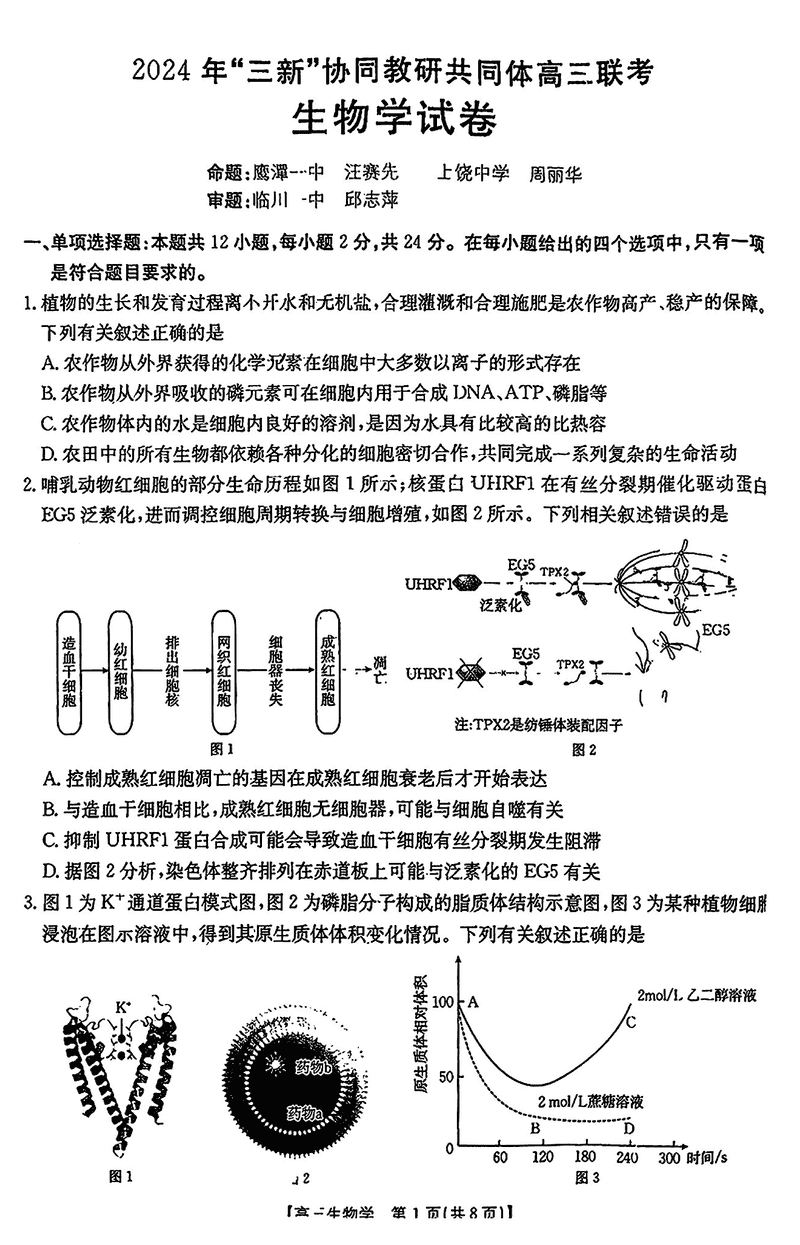 2024年江西三新协同教研共同体高三12月联考生物试题及答案