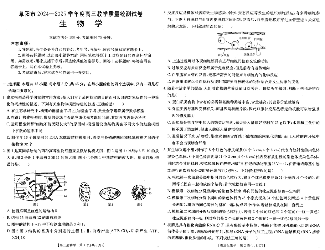 安徽阜阳2025届高三上学期教学质量统测生物试题及答案