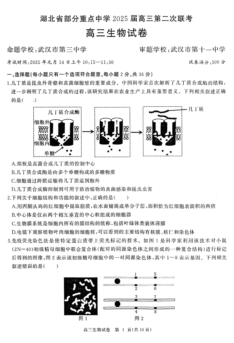 北省部分重点中学2025届高三第二次联考生物试题及答案