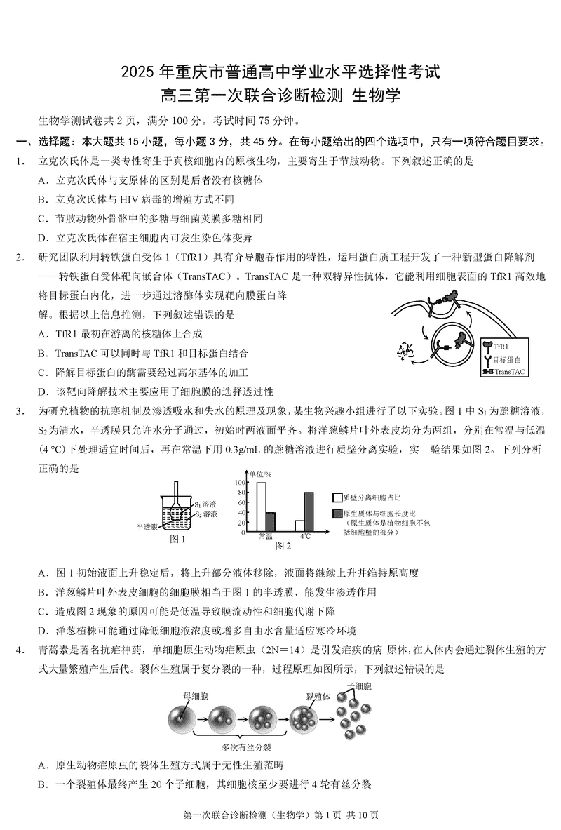 重庆市2025年康德一诊生物试题及答案