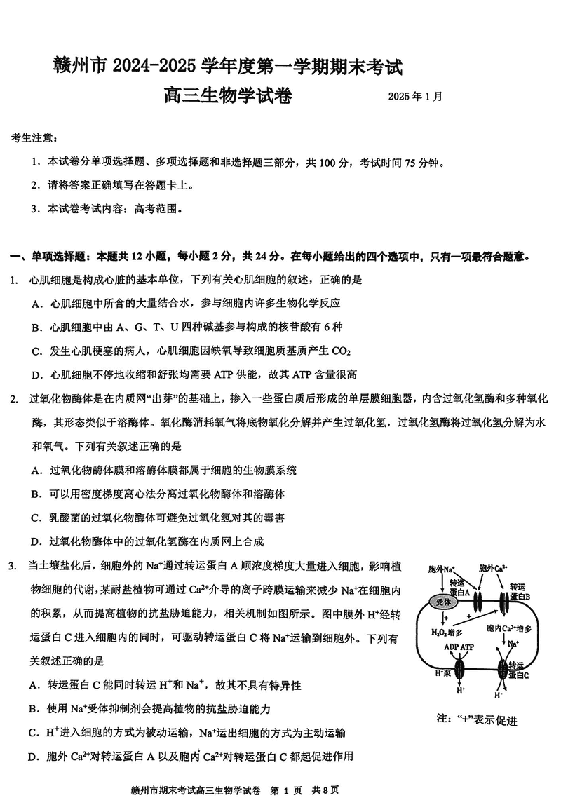 江西赣州2025年1月高三上学期期末生物试题及答案