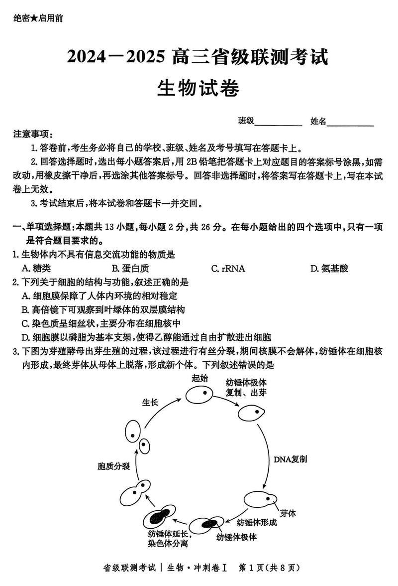 河北省2024-2025高三省级联测冲刺卷I生物试题及答案