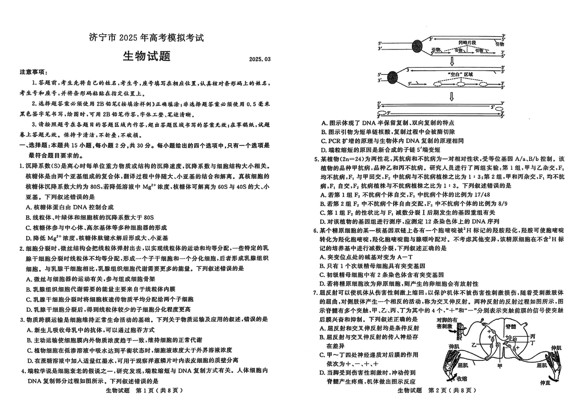 济宁一模2025年高考模拟生物试题及答案